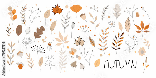 Collection of autumn leaves and botanical elements in warm earthy tones with the word autumn