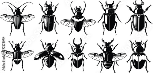 Beetle silhouette vector set, insect anatomy icons, black bug designs, editable clipart bundle, entomology concept graphic, biological illustration reference