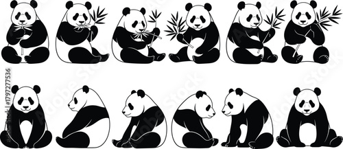 Cartoon panda vector set, cute animal poses, bamboo eating illustration, playful wildlife design, black and white character icons, nature themed graphics