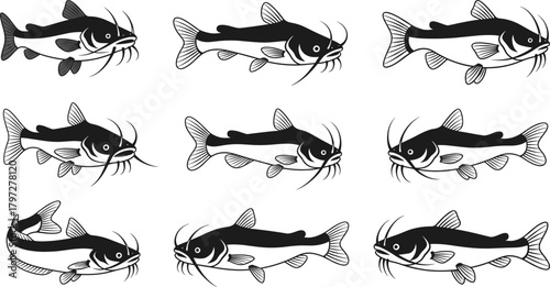 Catfish silhouette vector set, black and white fish illustrations, swimming poses, aquatic animal icons, freshwater species design, anatomy reference elements