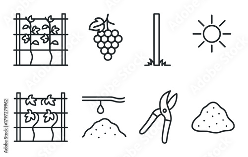 Vineyard icons: grapes, trellis, pruning shears, sun, irrigation, soil