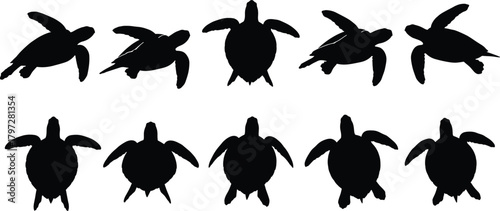 Sea turtle silhouette vector set, swimming and gliding poses, black marine animal icons, top-down anatomy views, ocean wildlife illustration design