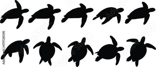 Sea turtle silhouette vector set, black and white marine animal icons, swimming pose illustrations, ocean wildlife design, aquatic nature graphic elements