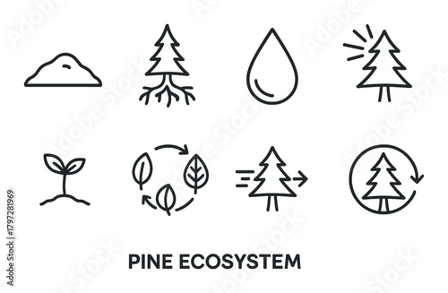 Pine ecosystem icons: forest, water, growth, cycle, sustainability symbols