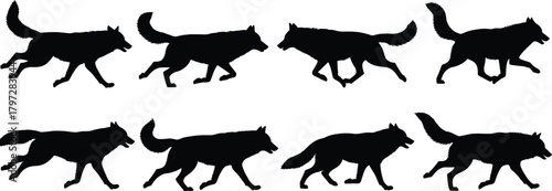 Wolf silhouette vector set, walking and running poses, black animal motion icons, editable clipart bundle, wildlife movement study, animation reference design