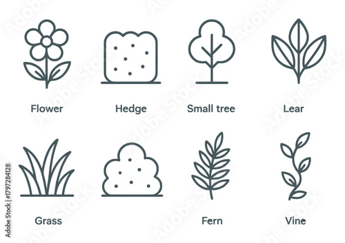Outline icons of various plants: flower, hedge, tree, leaf, grass, fern, vine