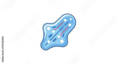 Modern illustration of amoeba with internal structures, perfect for science education materials or biology themed designs, originally designed as a scalable graphic