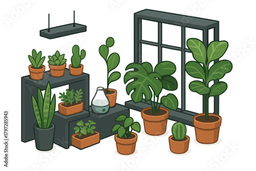 Potted indoor plants displayed on shelves and near a window in a cozy home setting
