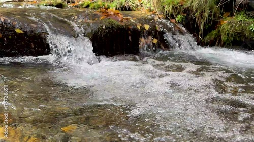 Crystal-clear mountain stream in Sierra Nevada near Granada, Spain 