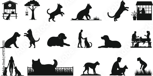 pet, dog, cat, silhouette, interaction, companion, animal, friendship, care, sitting, jumping, playing, bonding, shelter, domesticpet, dog, cat, silhouette, 