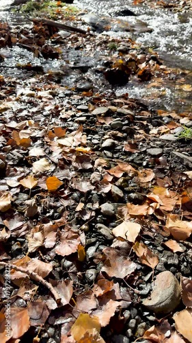 Crystal-clear mountain stream in Sierra Nevada near Granada, Spain 