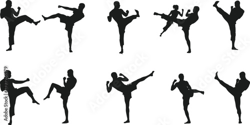 martial, kick, combat, silhouette, training, defense, technique, pose, athlete, movement, sparring, action, fitness, dynamic, discipline
