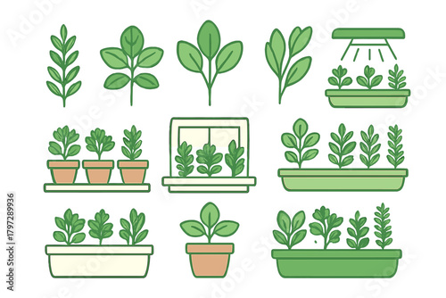 Set of various potted plants and seedlings for home gardening and cultivation