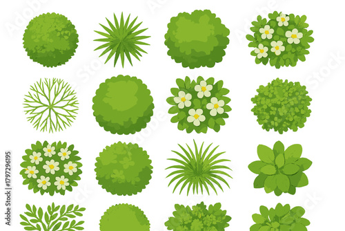 Diverse collection of green landscaping elements, shrubs, bushes, and flowering plants in top view