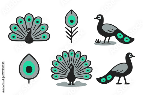 Stylized peacock birds in different poses and decorative feather elements collection