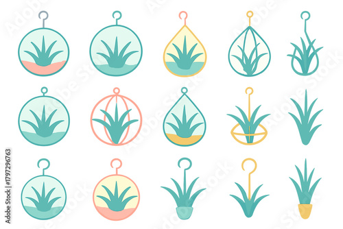 Various hanging terrariums and potted succulents in pastel colors and different shapes