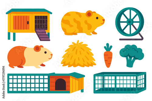 Cute pet guinea pigs, cages, food, and accessories isolated on a white background
