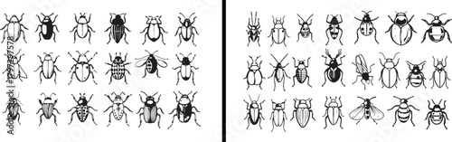  insect clipart, beetle illustration, bug vector, entomology art, colorful insects design, nature bug clipart, cute beetle icons, wildlife insects set, hand drawn bug art, adorable insect pattern