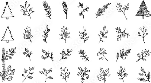 Hand Drawn Christmas and Winter Elements Trees Wreaths and Branches in a Simple Black and White Style