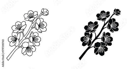 Stylized cherry blossom branch vector with outline and silhouette floral designs, representing spring and renewal.