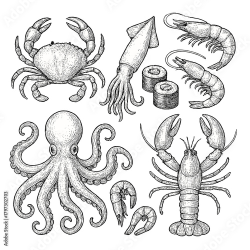 Vintage hand drawn seafood set with crab, lobster, octopus, squid, and shrimp