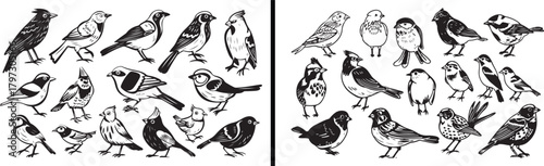 bird clipart, flying bird vector, nature animal illustration, songbird drawing, wildlife bird art, hand drawn birds vector, feathered animal design, cute cartoon bird, garden bird artwork, minimal ani