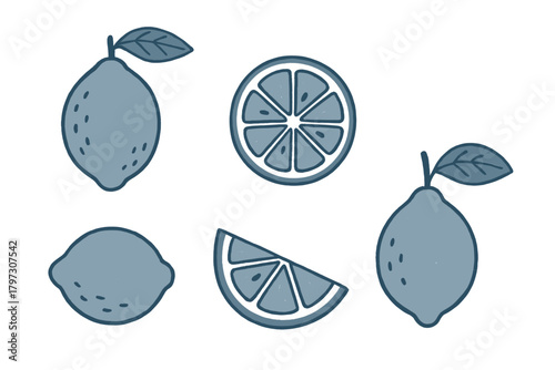 Stylized collection of whole lemons, slices, and wedges featuring a textured doodle drawing style