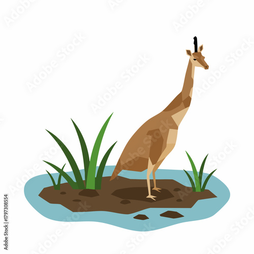 Flat Illustration Okapi Standing on Land Near Water with Grass