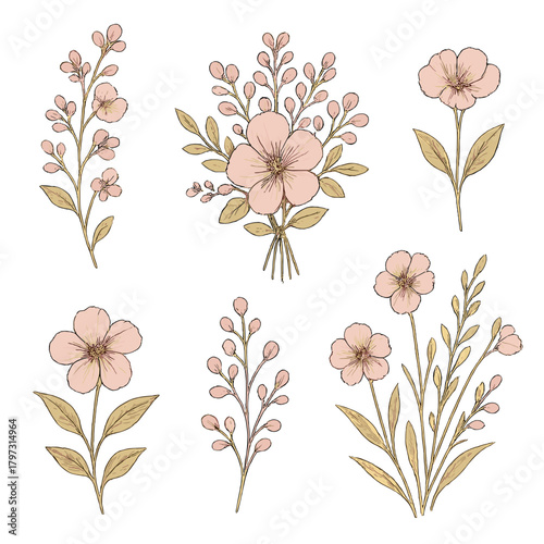 Delicate pink floral arrangements and individual stems in vintage hand-drawn botanical sketch style