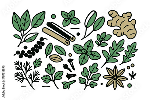 Assortment of fresh green herbs and dried spices including cinnamon, ginger, and star anise