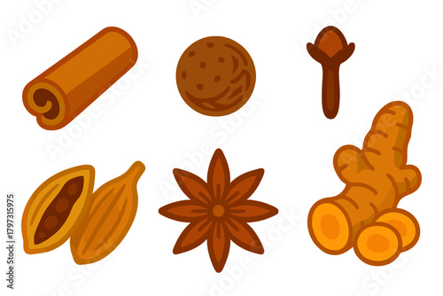 Collection of aromatic cooking spices: cinnamon, nutmeg, clove, star anise, cardamom, and turmeric