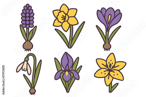 Set of six colorful spring bulb flowers including hyacinth, daffodil, crocus, snowdrop, and iris