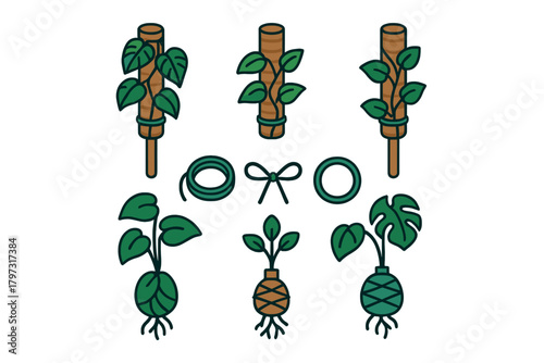 Set of houseplant care tools and accessories including moss poles and kokedama