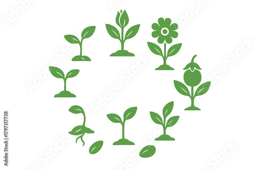 Plant life cycle icons showing growth stages from seed germination to mature fruit