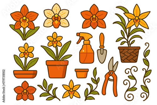 Colorful orchid flowers, potted plants, and essential gardening tools set