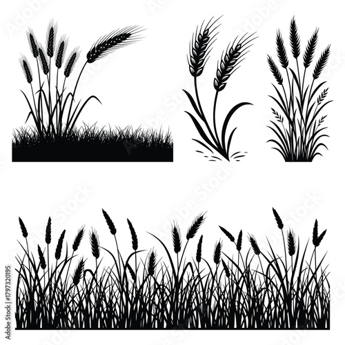 Wheat & wheat field vector silhouette clipart illustration