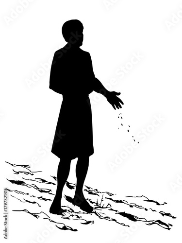 Vector drawing. A man sowing wheat