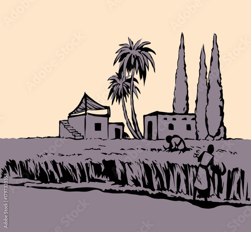 Vector drawing. Reapers in the field