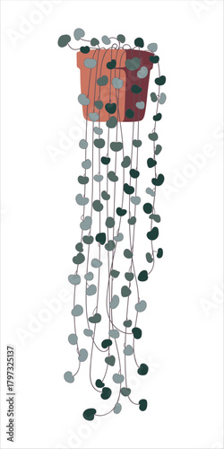 A room plant in a bowl in a flat style. The vector image is highlighted on a white background. For room design and decoration. Senecio rowleyanus