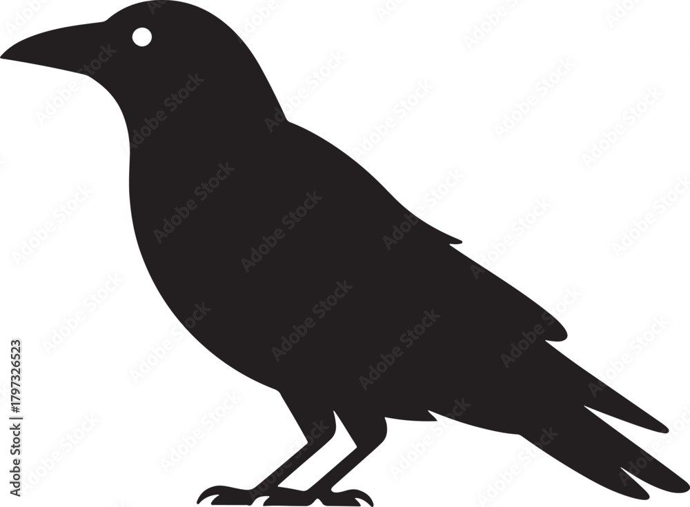 Fototapeta premium crow bird Black silhouette icon graphic element for nature designs