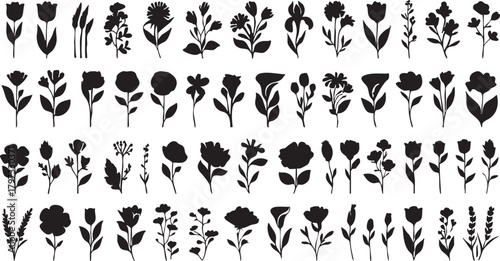 Flower silhouette vector pack: floral designs, botanical illustrations, and plant graphics eps