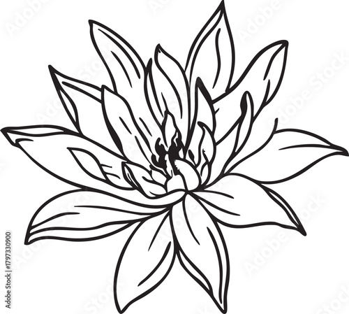 Lotus flower vector illustration: black and white outline for coloring pages, clip art, and design eps silhouette