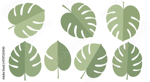 A collection of eight stylized monstera leaves in various shapes and orientations, rendered in shades of green.