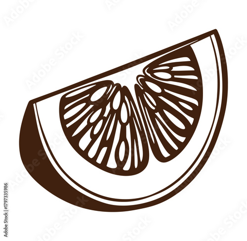 Isolated illustration of a brown citrus slice with internal details on white background