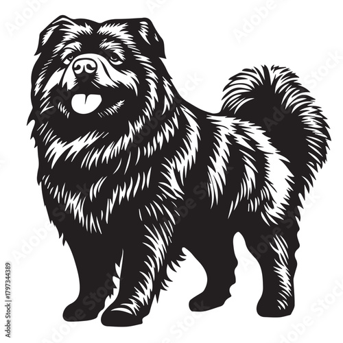 vector illustration of a shaggy dog