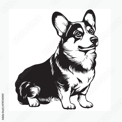 vector image of a dog