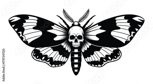 Death moth skull vector illustration black and white tattoo design art eps silhouette