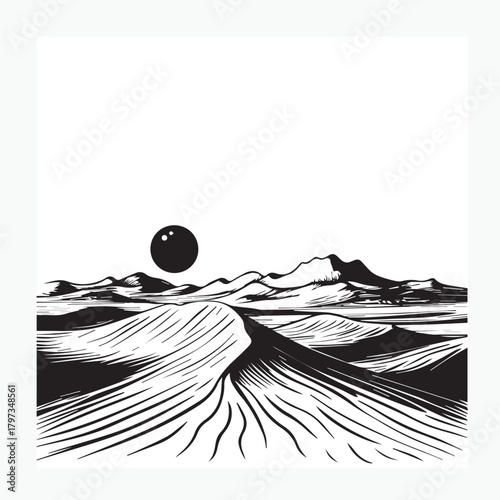 vector illustration of desert landscape