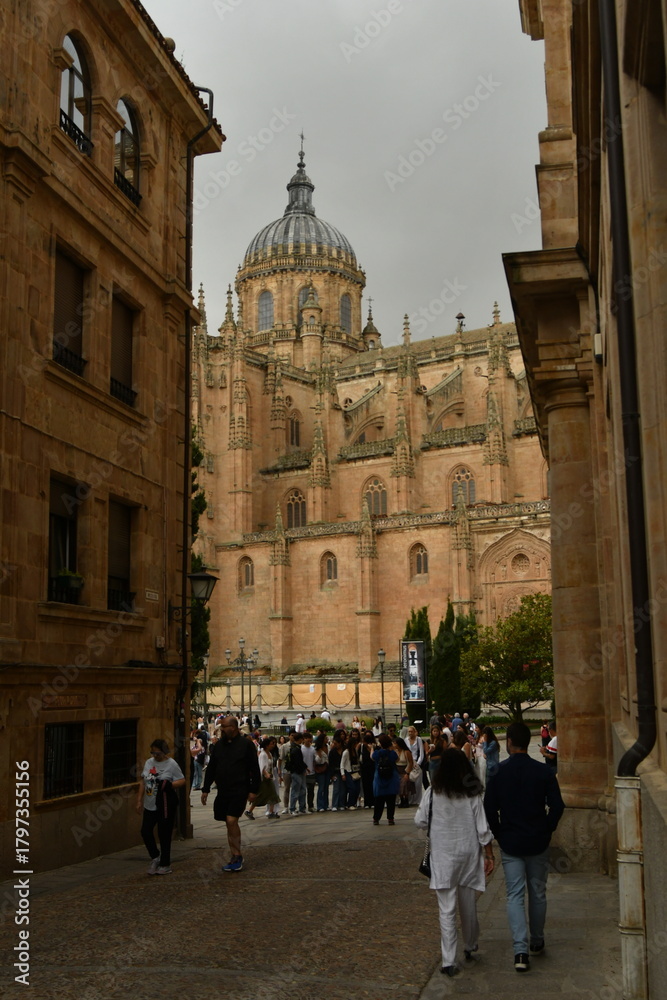 Naklejka premium catedral de salamanca