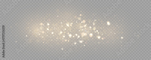 The dust sparks and golden stars shine with special light. Vector sparkles on a transparent background. . Stock royalty free vector illustration. PNG	